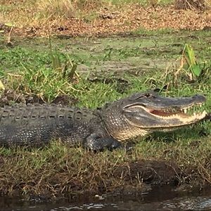 Meet your Posher, Dennis